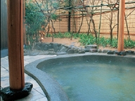 天橋立温泉　智恵の湯の画像