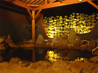 須賀谷温泉の画像
