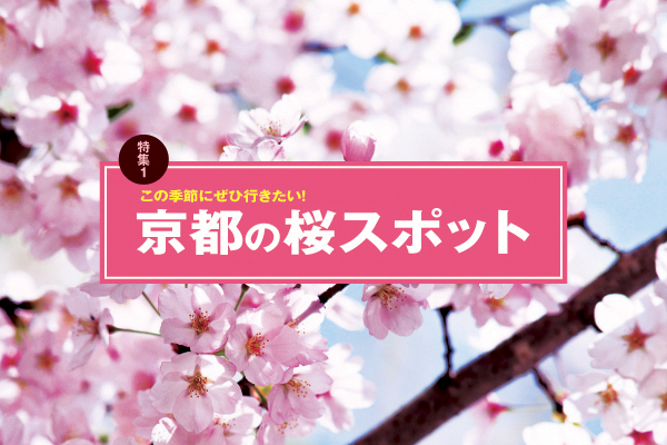 京都の桜スポット-嵐山・円山公園のサムネイル
