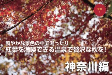 紅葉を満喫できる温泉で贅沢な秋を！【神奈川編】のサムネイル