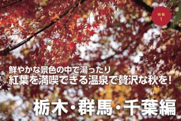 紅葉を満喫できる温泉で贅沢な秋を！【栃木・群馬・千葉編】のサムネイル