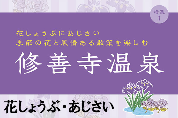 【6月が見頃の花しょうぶ・あじさい】修善寺温泉のサムネイル