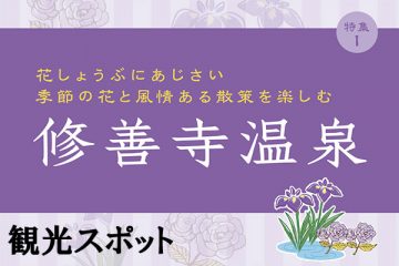 【観光スポット】修善寺温泉のサムネイル