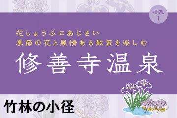 【竹林の小径】修善寺温泉のサムネイル