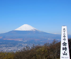 金時山から富士山