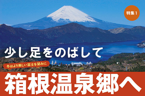 【少し足をのばして富士山を望むスポット】箱根温泉郷へのサムネイル