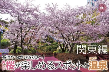 【関東編】美しい桜が楽しめるスポットと近くの温泉のサムネイル