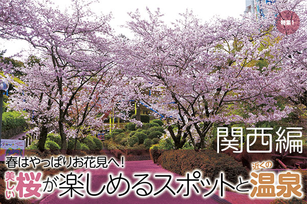 【関西編】美しい桜が楽しめるスポットと近くの温泉のサムネイル