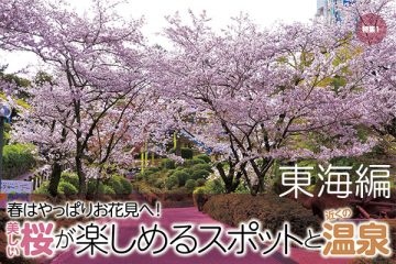 【東海編】美しい桜が楽しめるスポットと近くの温泉のサムネイル