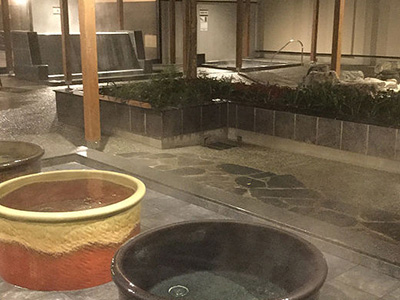 武芸川温泉　別館　ぬくいの湯の画像