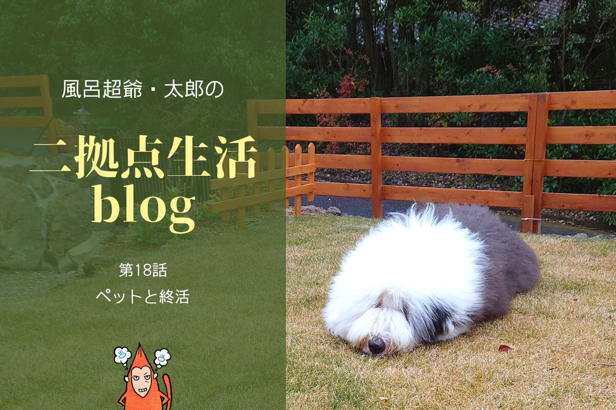 風呂超爺・太郎の二拠点生活blog「第18話・ペットと終活」の画像