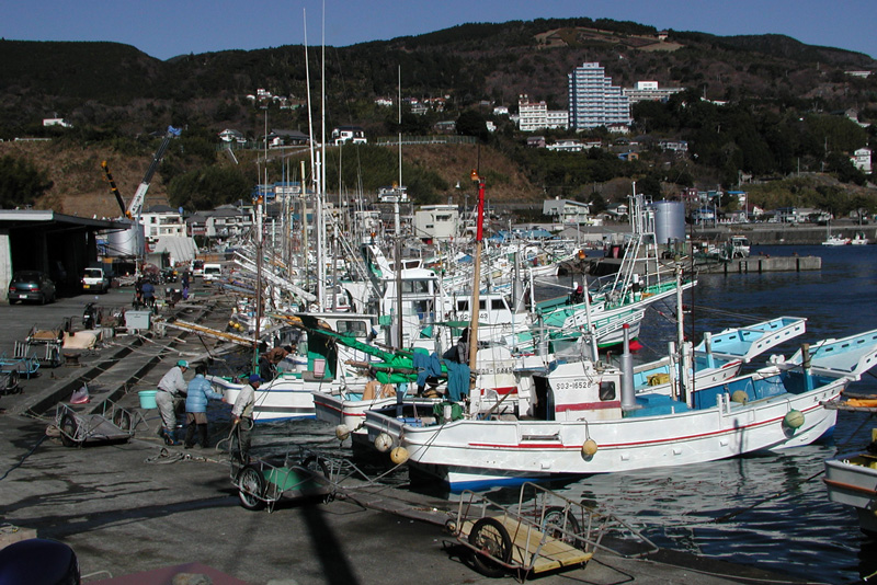 手ぶらで堤防釣り体験