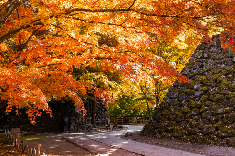 懐古園の紅葉