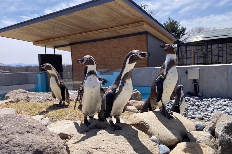 小諸市動物園