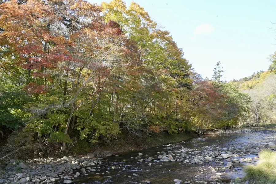 北海道・十勝の秘湯「芽登温泉」に新たな癒しの宿泊施設「蘇芳の庵」が誕生！　プライベート天然温泉を満喫