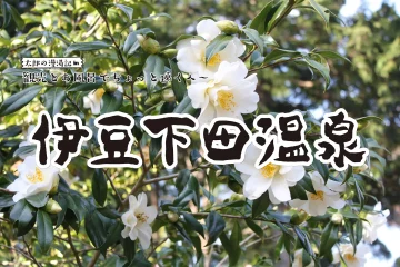 【伊豆下田温泉】観光と温泉でちょっと遠くへ 太郎の漫湯記 Vol.95のサムネイル