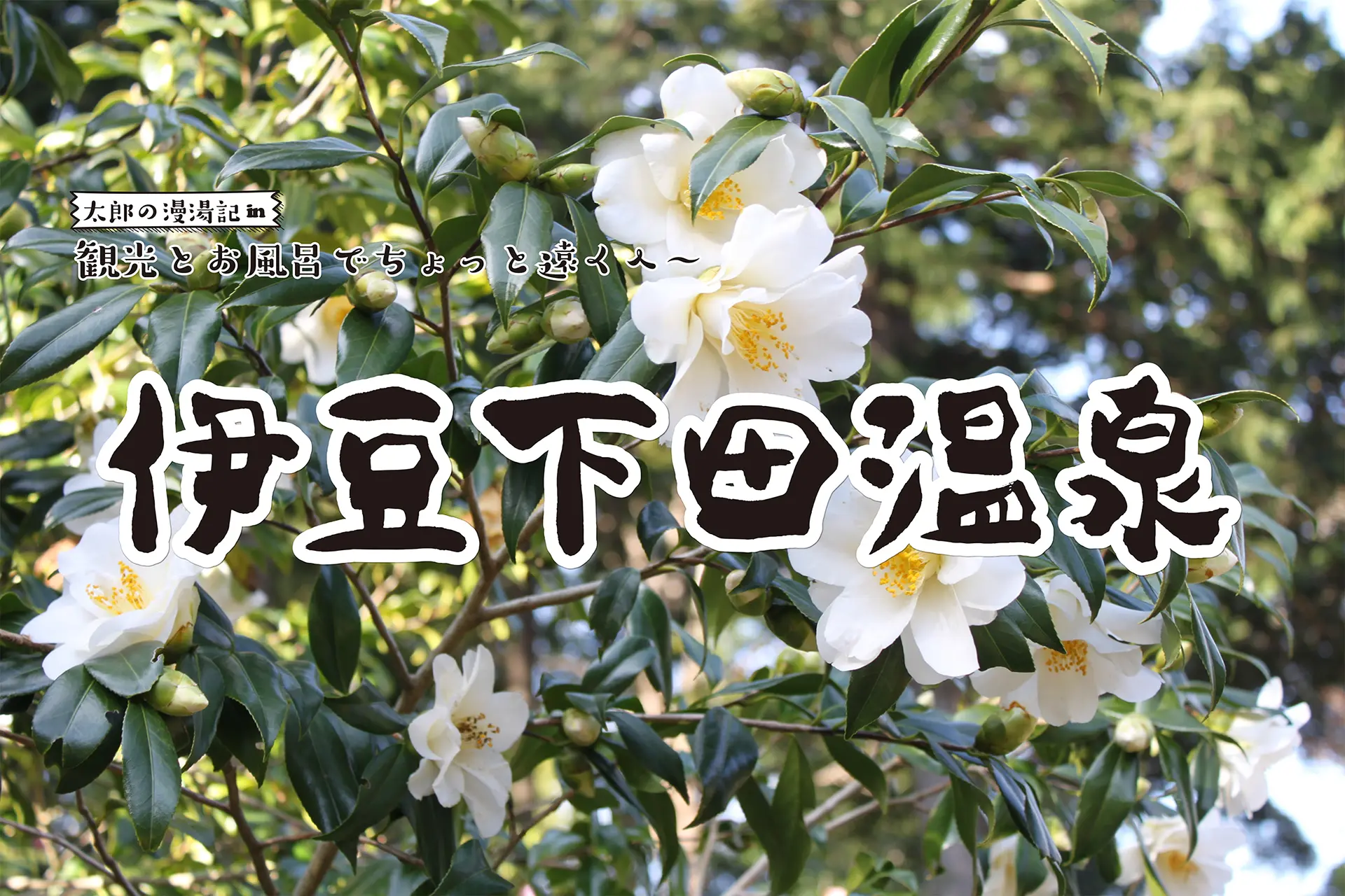 【伊豆下田温泉】観光と温泉でちょっと遠くへ 太郎の漫湯記 Vol.95の画像