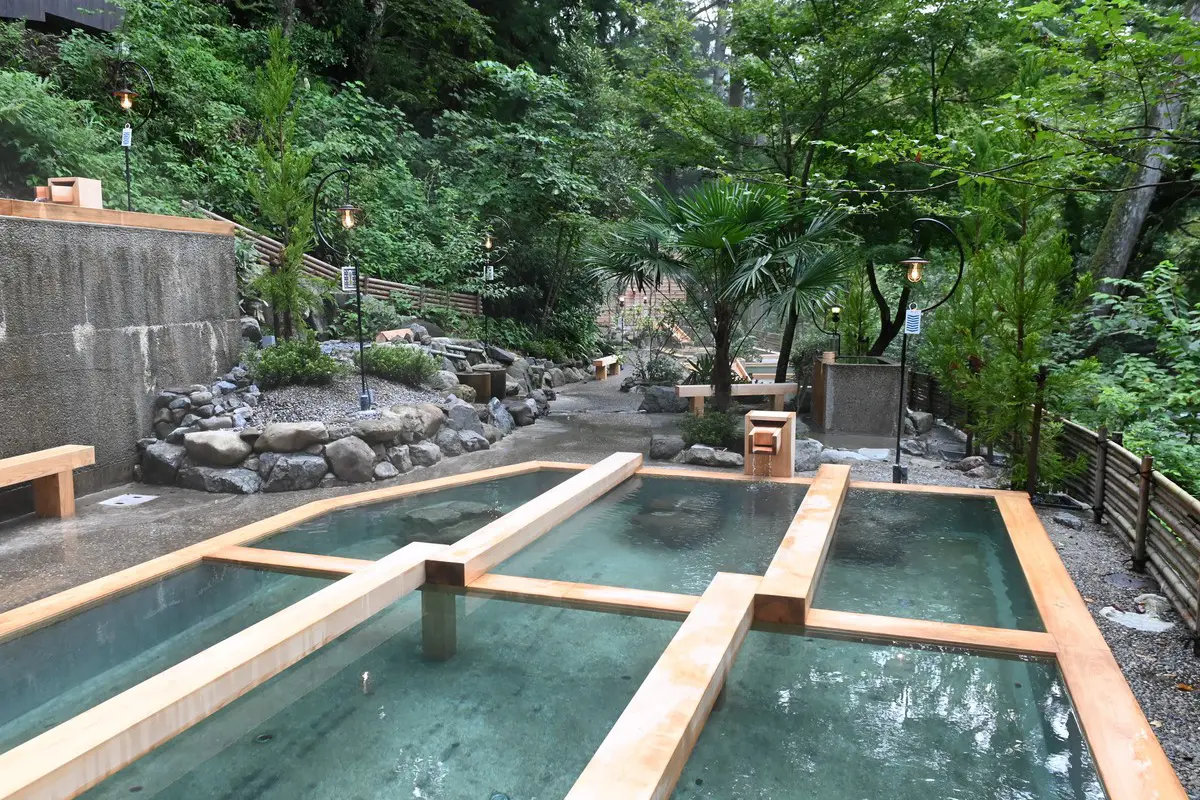 山中温泉 湯畑の宿 花つばき【日帰り】の画像