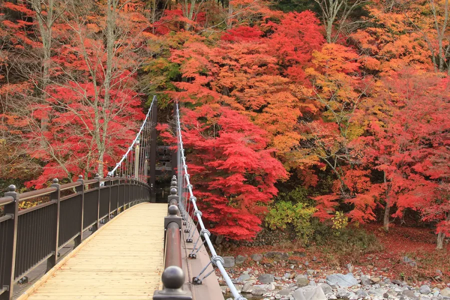 紅の吊橋