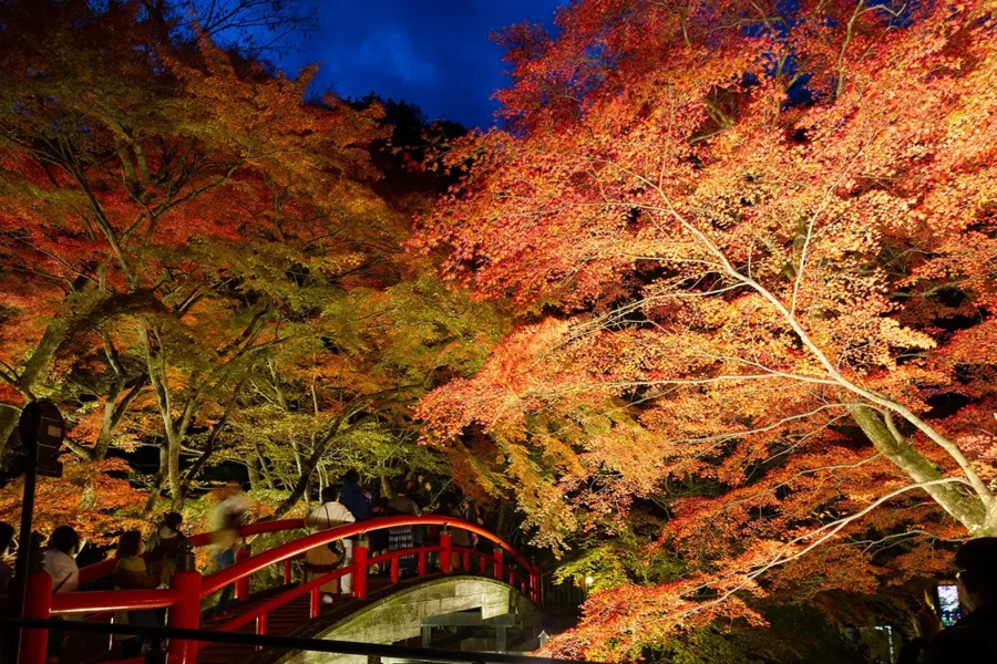 紅葉の河鹿橋