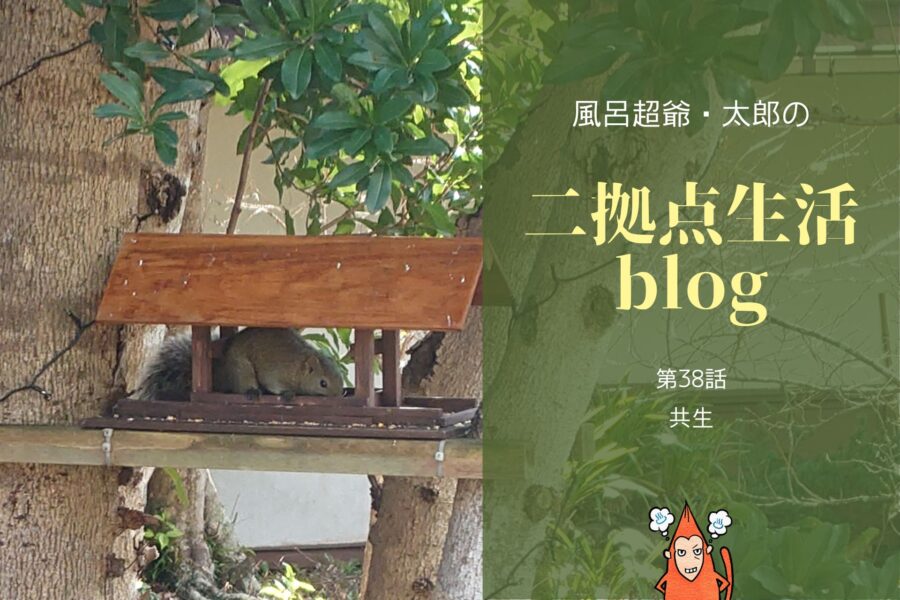 風呂超爺・太郎の二拠点生活blog「第38話・共生」