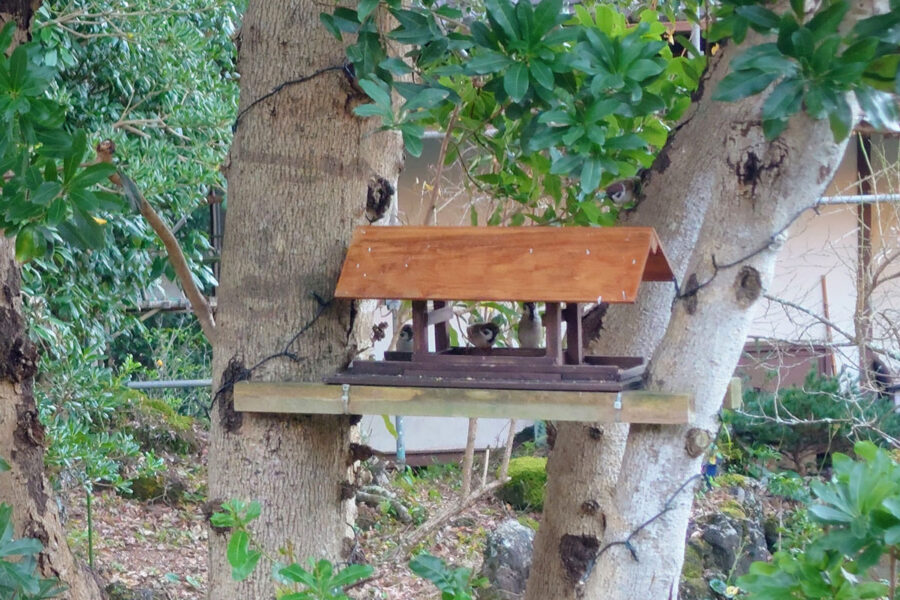 風呂超爺・太郎の二拠点生活blog「第38話・共生」