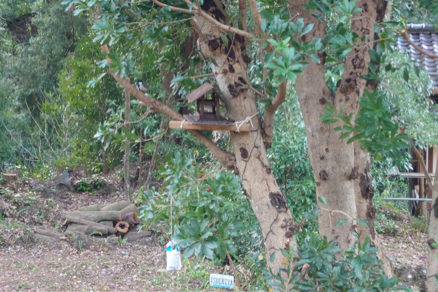 風呂超爺・太郎の二拠点生活blog「第38話・共生」