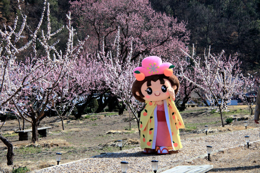 千曲市キャラクター「あん姫」