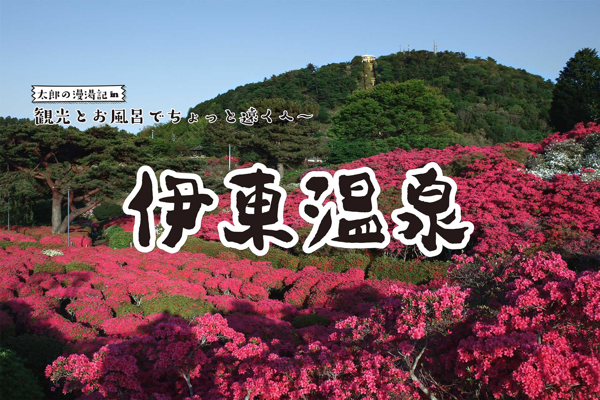【伊東温泉】観光と温泉でちょっと遠くへ 太郎の漫湯記 Vol.109のサムネイル