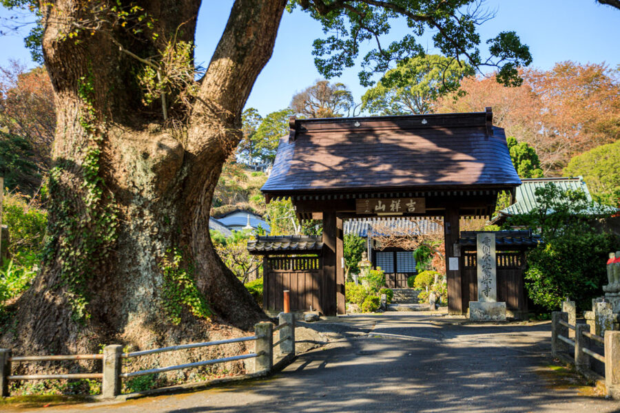 安楽寺